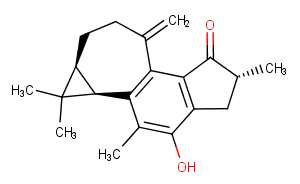 Jatropholone BͼƬ