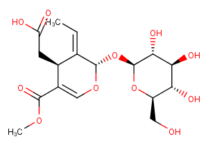 Oleoside 11-methyl esterͼƬ