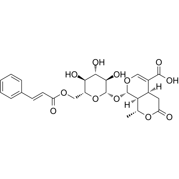 6'-O-Cinnamoyl-8-epikingisidic acidͼƬ