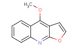 DictamineͼƬ