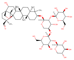 Ardisiacrispin AͼƬ