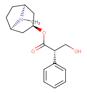 L-Hyoscyamine图片