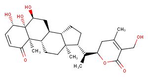 2,3-DidehydrosomnifericinͼƬ