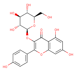 astragalin图片