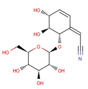 LithospermosideͼƬ