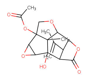 13-O-AcetylcorianinͼƬ