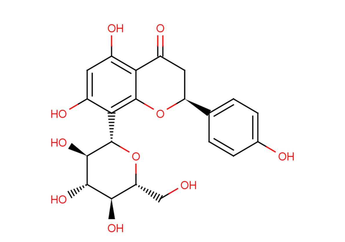 IsohemiphloinͼƬ