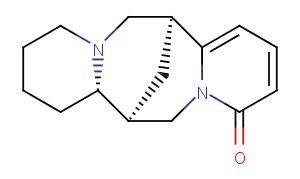 ThermopsineͼƬ