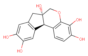 HematoxylinͼƬ