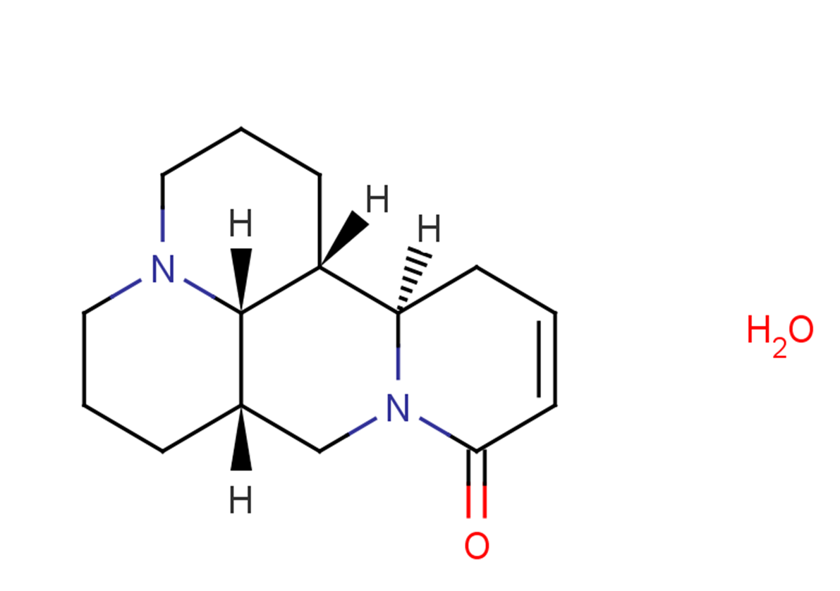 Sophocarpine monohydrateͼƬ