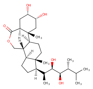 Epibrassinolide图片