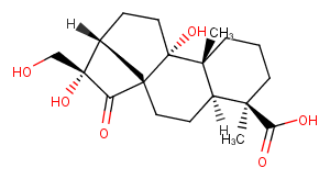 Pterisolic acid FͼƬ