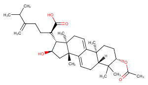 Dehydropachymic acidͼƬ