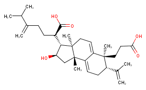 Poricoic acid AͼƬ