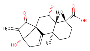 Pterisolic acid AͼƬ