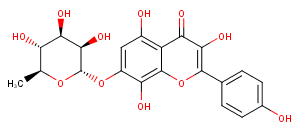 RhodioninͼƬ