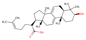 3-Dehydrotrametenolic acidͼƬ