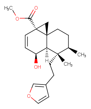 Methyl dodonate AͼƬ