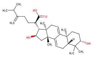 Dehydrotumulosic acidͼƬ