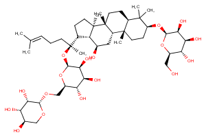 Gynostemma ExtractͼƬ