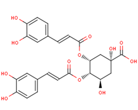 4,5-Dicaffeoylquinic acidͼƬ