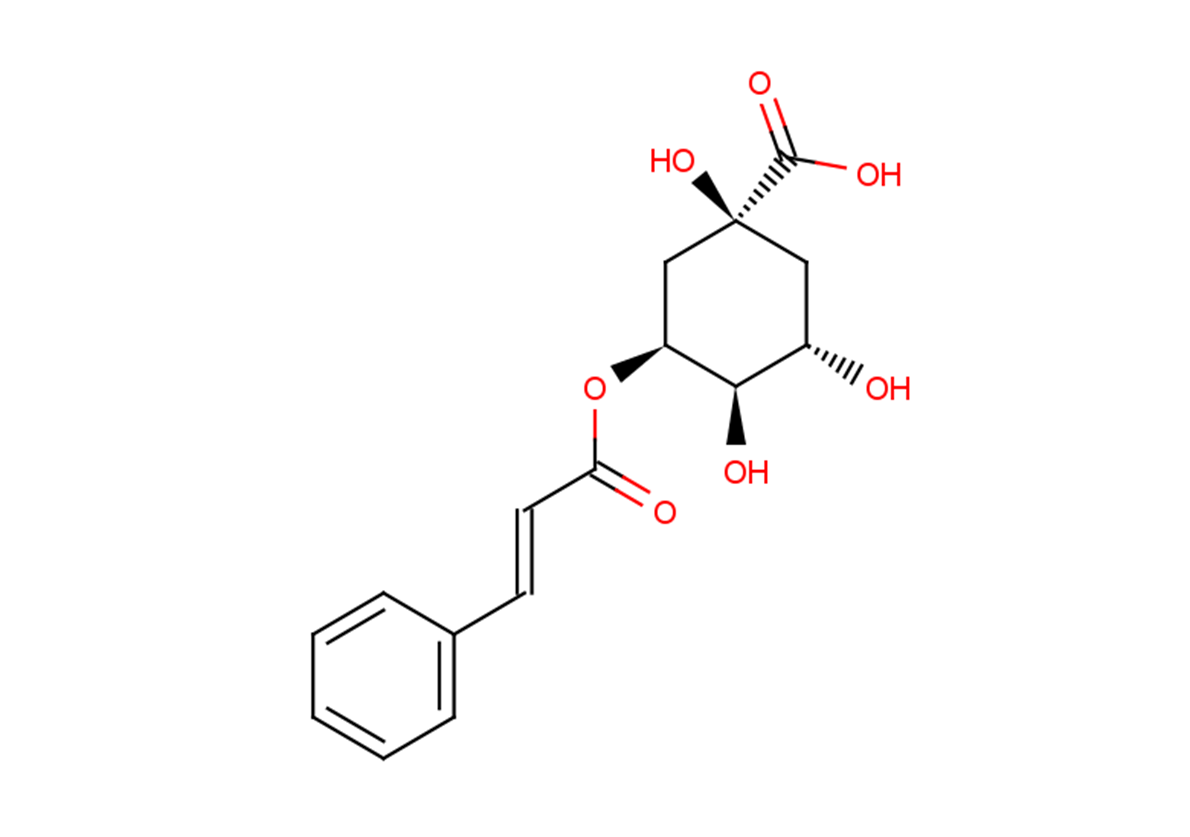 5-O-Cinnamoylquinic acidͼƬ