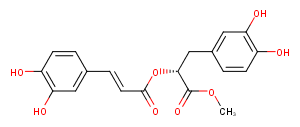 Methyl rosmarinateͼƬ