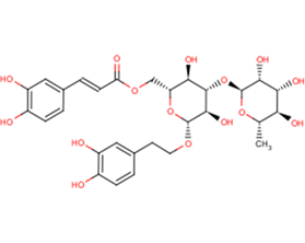 IsoacteosideͼƬ