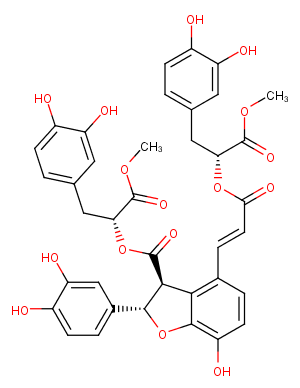 Dimethyl lithospermate BͼƬ