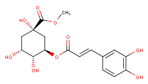 3-O-Caffeoylquinic acid methyl esterͼƬ