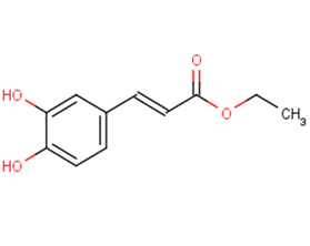 Ethyl trans-caffeateͼƬ