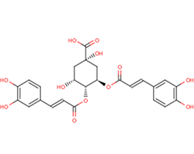 3,4-Dicaffeoylquinic acidͼƬ