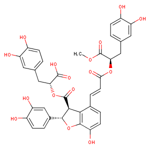 9'''-Methyl salvianolate BͼƬ