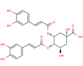 Isochlorogenic acid CͼƬ