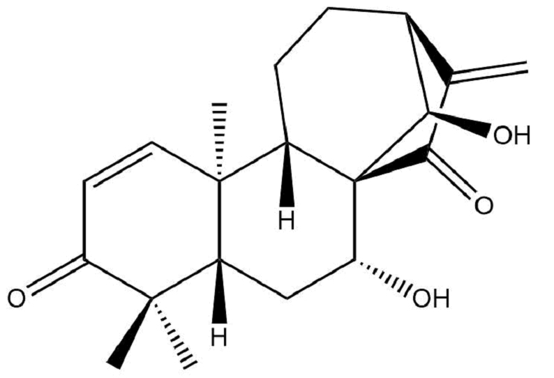 Liangshanin AͼƬ