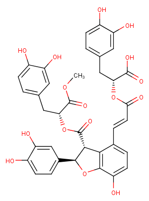 9''-Methyl salvianolate BͼƬ