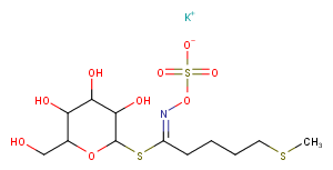 GlucoerucinͼƬ