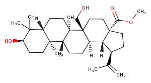 3,27-Dihydroxy-20(29)-lupen-28-oic acid methyl esterͼƬ