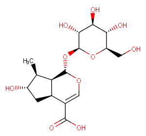 8-Epiloganic acidͼƬ