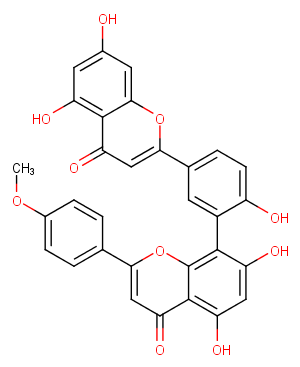 Podocarpusflavone AͼƬ