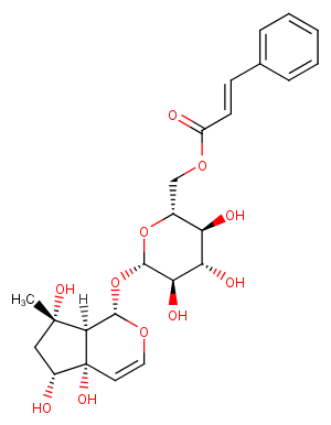 6'-O-Cinnamoyl harpagideͼƬ