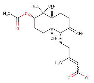 3-Acetoxy-8(17),13E-labdadien-15-oic acidͼƬ