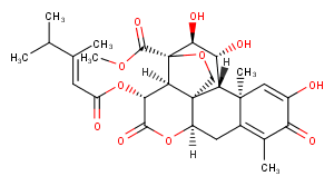 DehydrobruceantinͼƬ