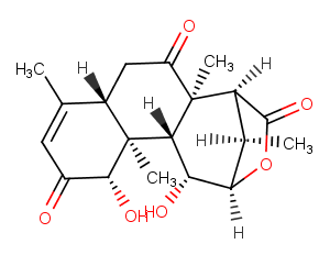 EurycomalactoneͼƬ