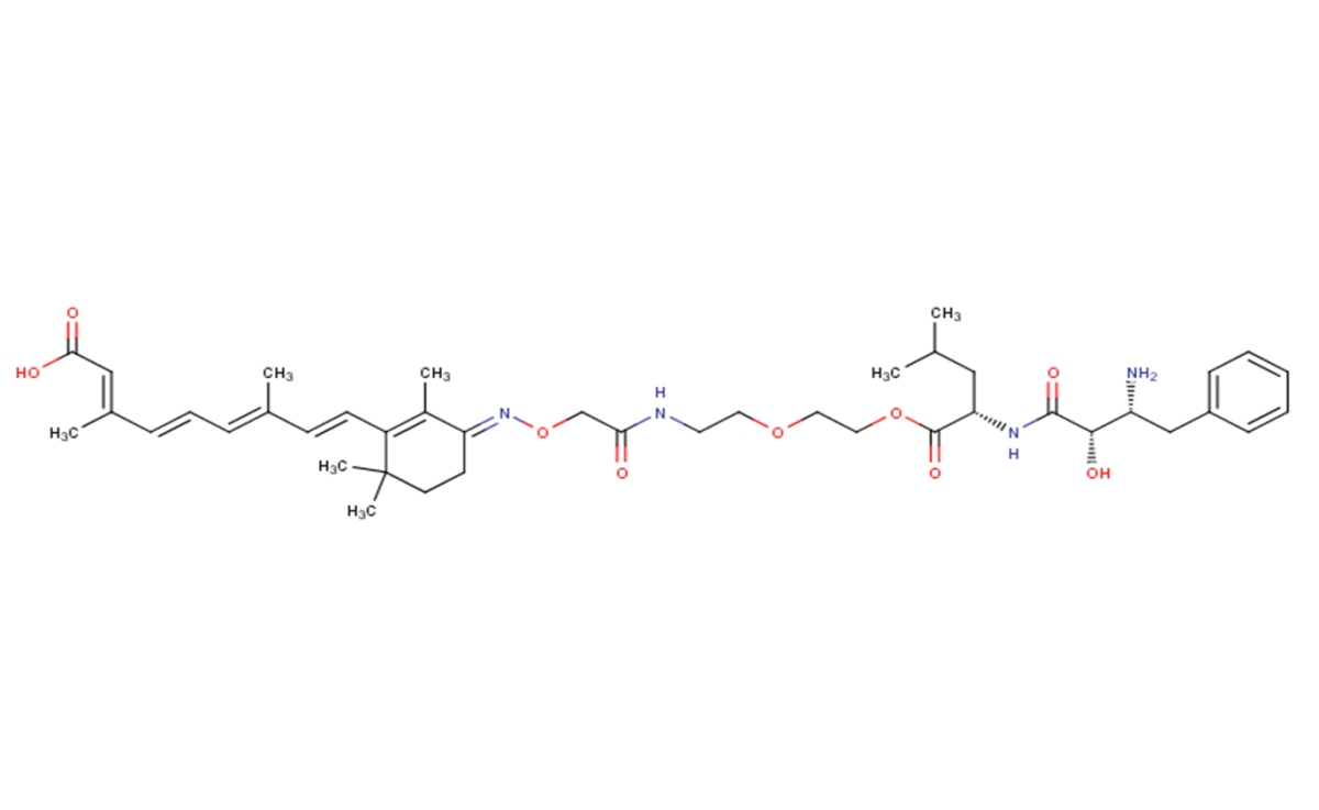 PROTAC CRABP-II Degrader-1ͼƬ