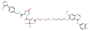 Gefitinib-based PROTAC 3ͼƬ