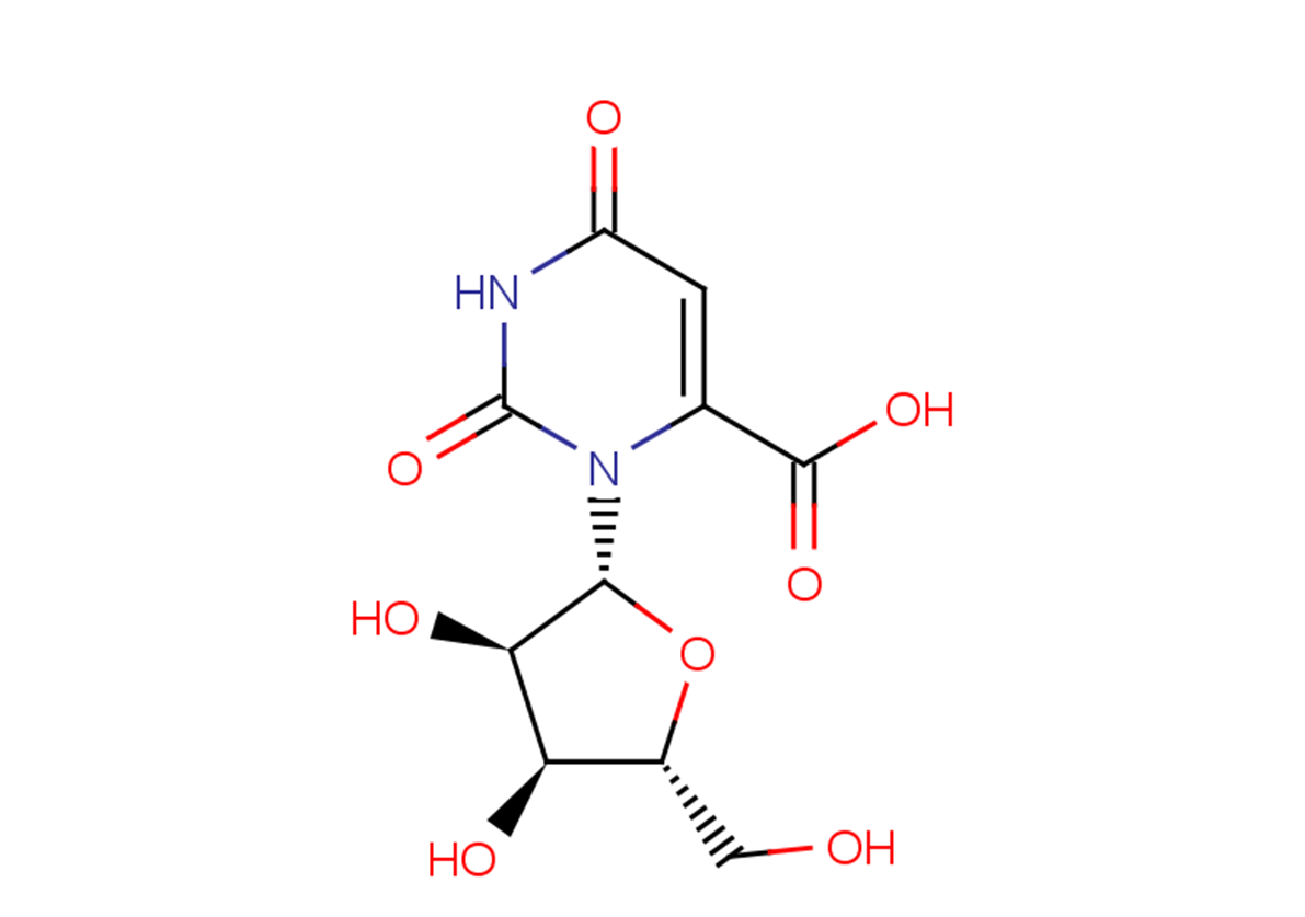 Orotidine图片