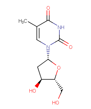 Thymidine图片