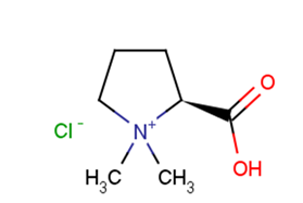 Stachydrine HydrochlorideͼƬ