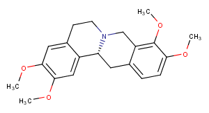 D-TetrahydropalmatineͼƬ